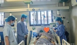 爆料湘潭医生事件视频,真相与争议交织